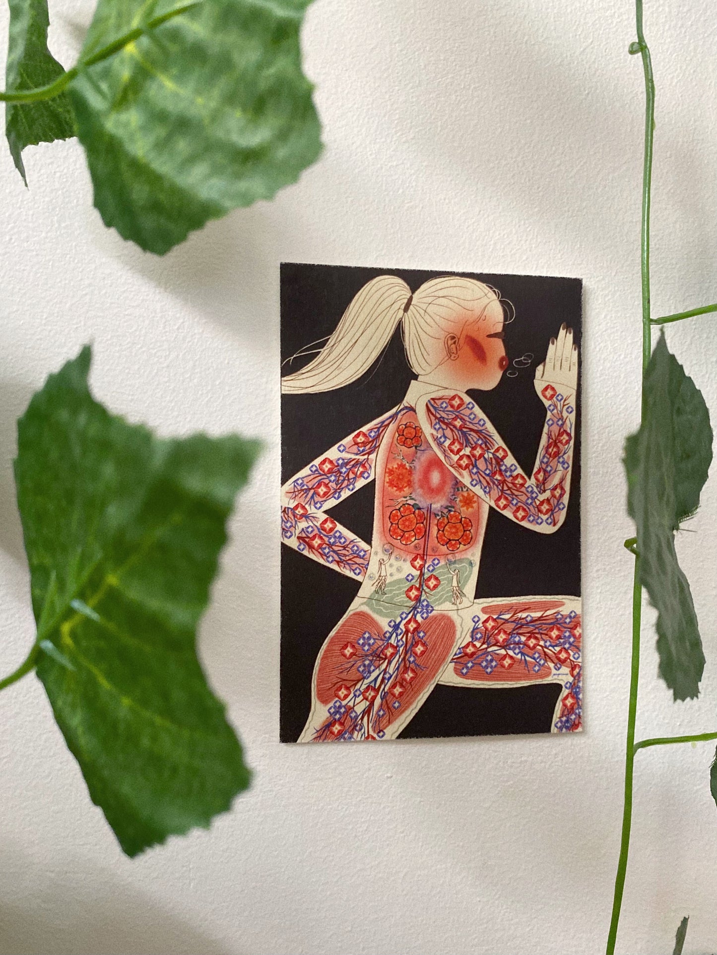 Herbarium 1 Postcard