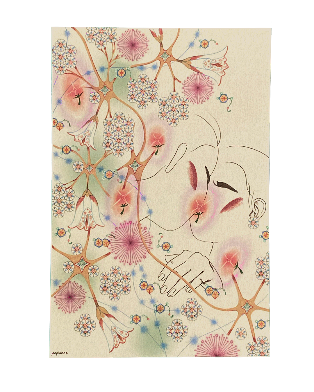 Herbarium 2 Postcard